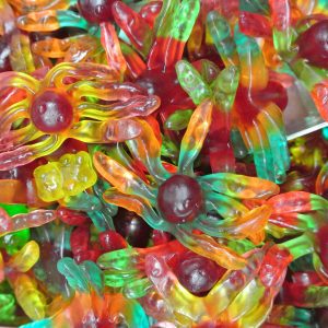 Gummy Octopus